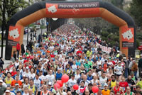 Maratona_di_Treviso